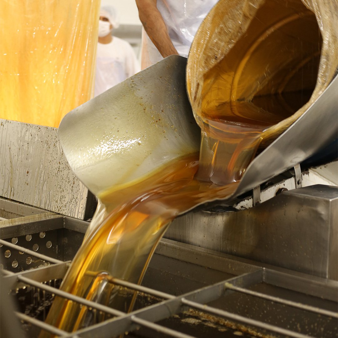 Produção e envase de mel da Supramel para fornecimento atacadista