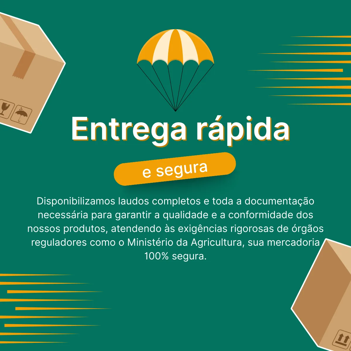 Mel Puro Silvestre Orgânico 300g - Melbras (linha Mel Brasil) - Imagem 7