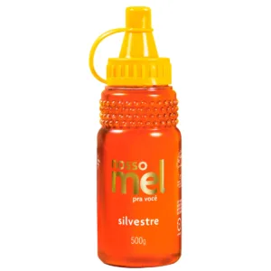 Mel Puro Silvestre Bisnaga 500g